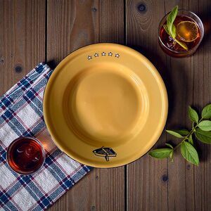 Vintage Taipro Enamelware Plate | 10" Metal Dinner Plate | MCM